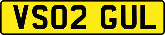 VS02GUL