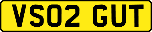 VS02GUT