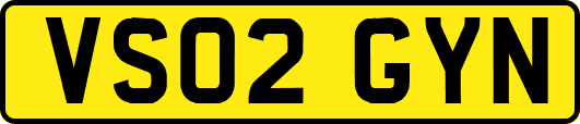 VS02GYN