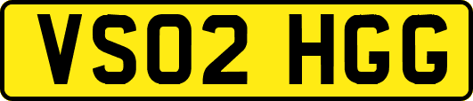 VS02HGG