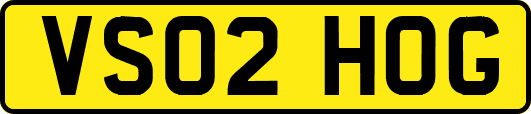 VS02HOG