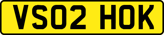 VS02HOK