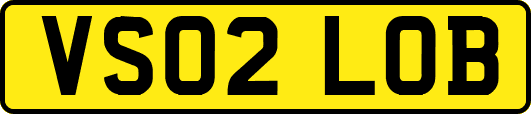VS02LOB