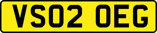 VS02OEG