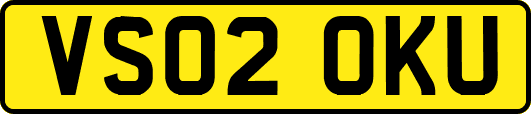 VS02OKU