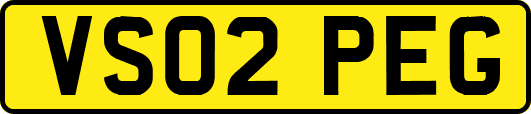 VS02PEG