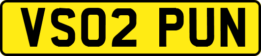 VS02PUN