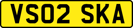 VS02SKA