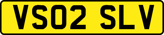 VS02SLV