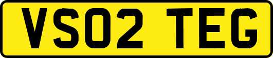 VS02TEG