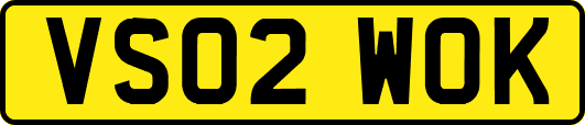 VS02WOK