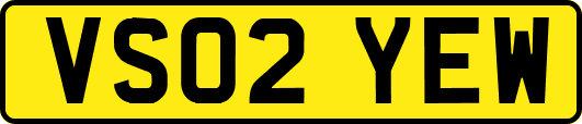 VS02YEW