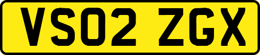 VS02ZGX