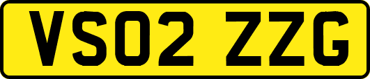 VS02ZZG