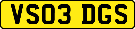 VS03DGS