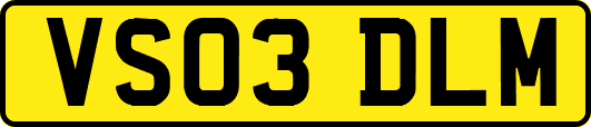 VS03DLM