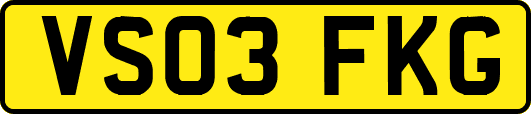 VS03FKG
