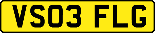 VS03FLG