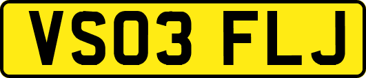 VS03FLJ
