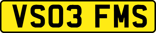 VS03FMS