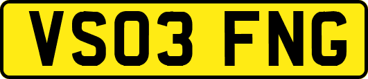 VS03FNG