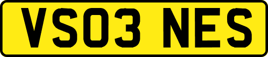 VS03NES