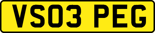 VS03PEG
