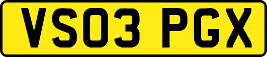 VS03PGX