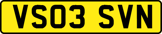 VS03SVN