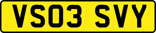 VS03SVY