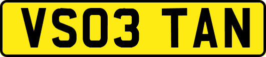 VS03TAN
