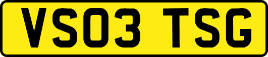 VS03TSG