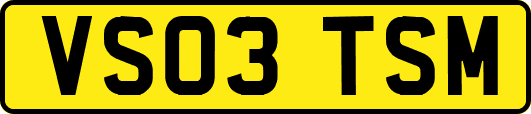 VS03TSM