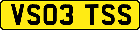 VS03TSS