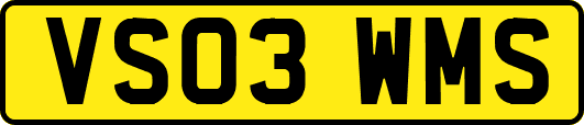 VS03WMS