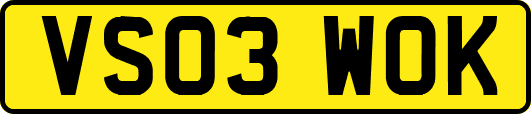 VS03WOK