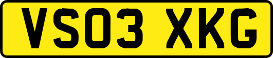 VS03XKG