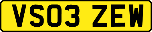 VS03ZEW