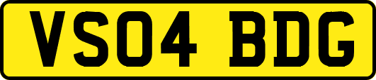 VS04BDG