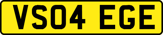 VS04EGE