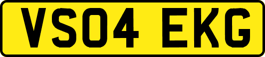 VS04EKG