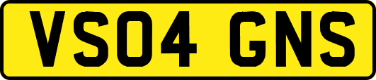 VS04GNS
