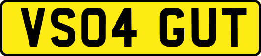 VS04GUT