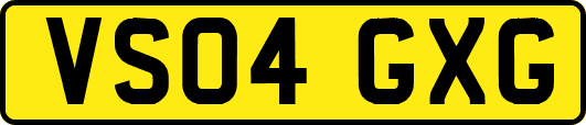 VS04GXG