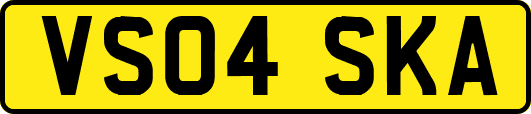 VS04SKA