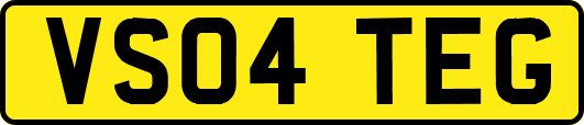VS04TEG