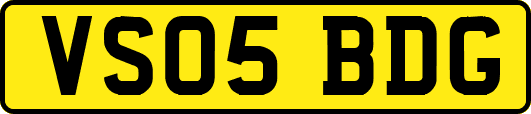 VS05BDG