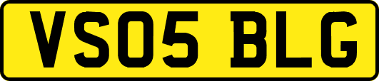 VS05BLG