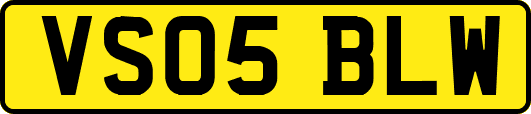 VS05BLW