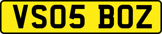 VS05BOZ